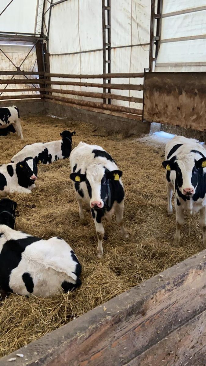 Economic and Ethical Advantages for FarmersEconomic and Ethical Advantages for Farmers
